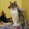 Отзыв от Альфия Костина